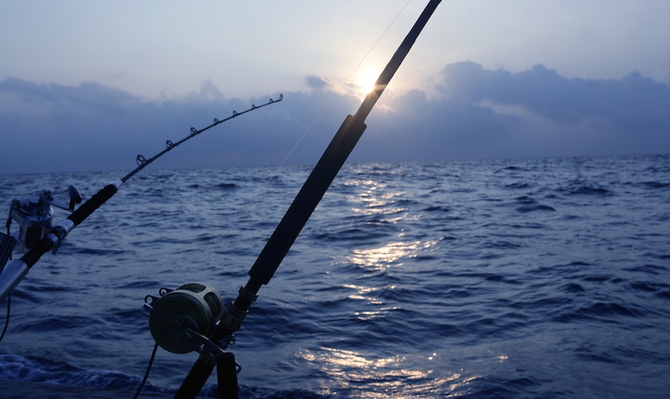 Deep Sea Fishing Facts to Know